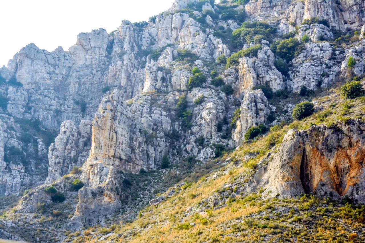 Hotel Adam Makrinitsa Bagian luar foto